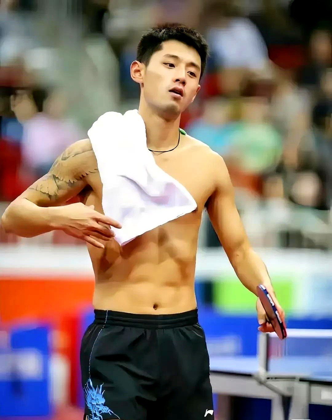 日本乒乓球队鏖战韩国乒乓球队，张继科爆发神勇的简单介绍