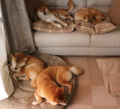 雷火电竞主播-坍塌与新生，2026年世界杯，当伦纳德接过雄鹿翻盘的遗产