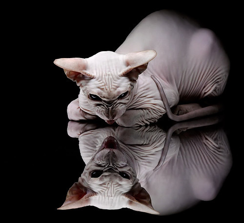 绝境改写，哈登总决赛之夜的自我正名