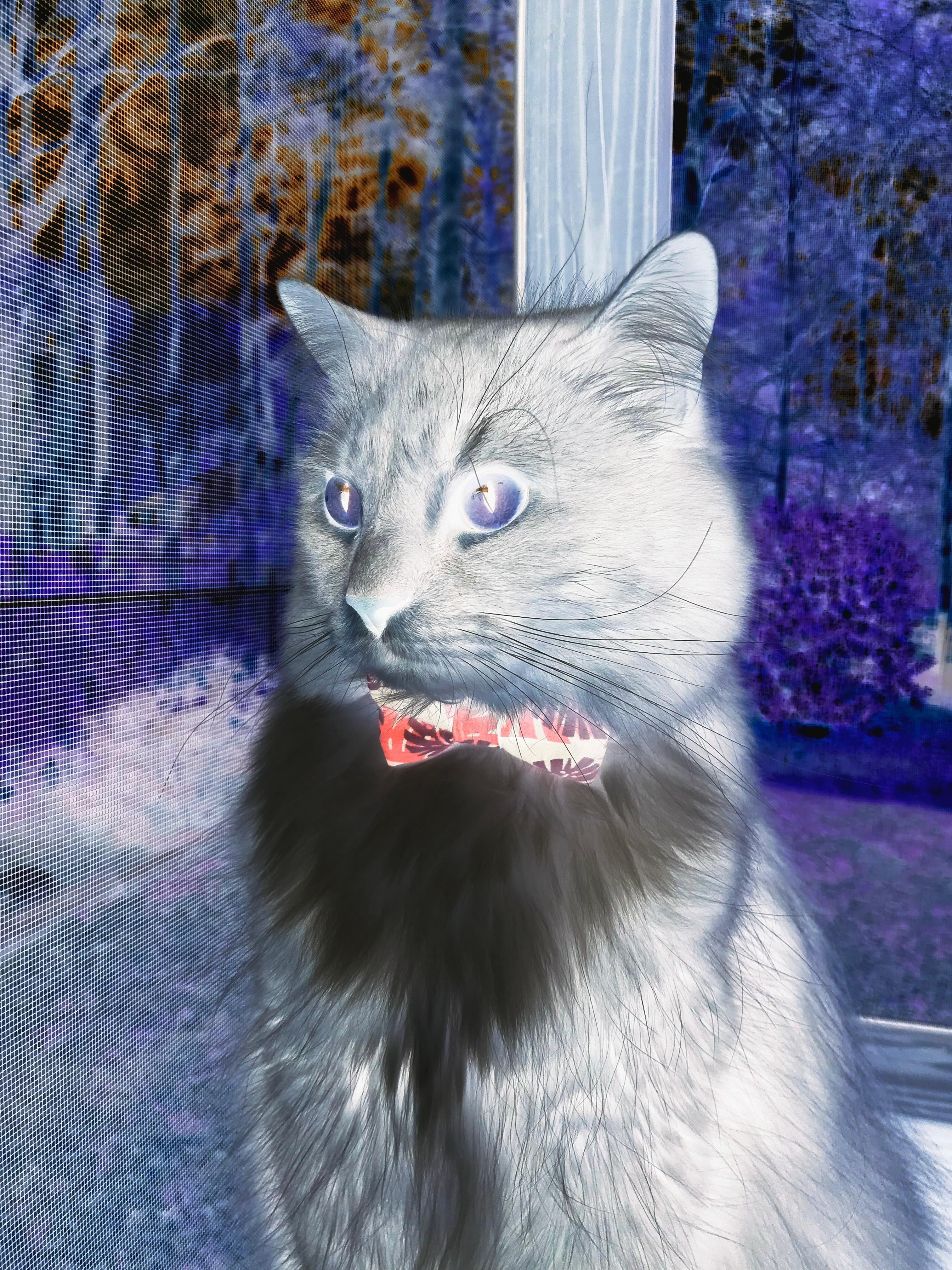 北欧冰原的节奏魔法,当芬兰的慢成为瓦解德国战车的致命手术刀