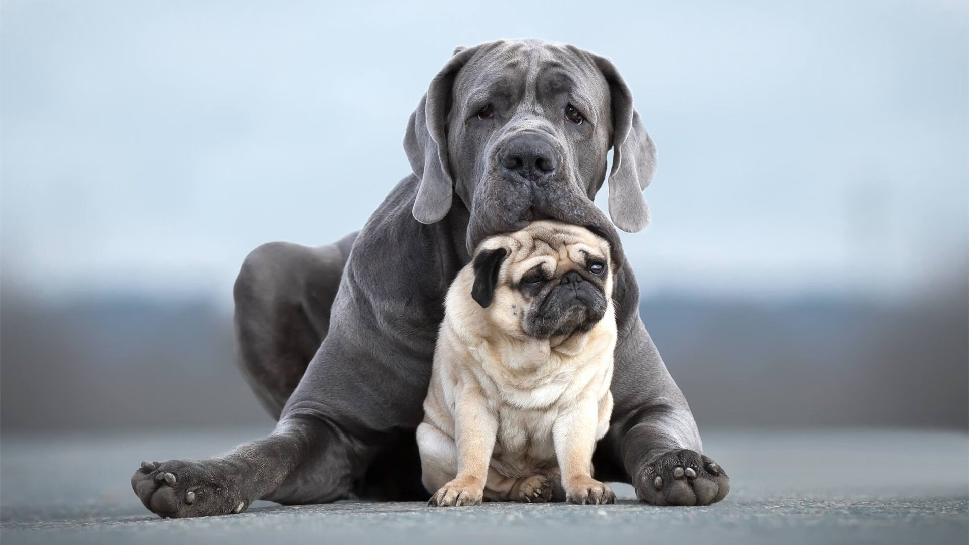 沉默指挥官华丽转身，范弗利特数据全面爆炸之夜如何悄然颠覆尼克斯攻防体系