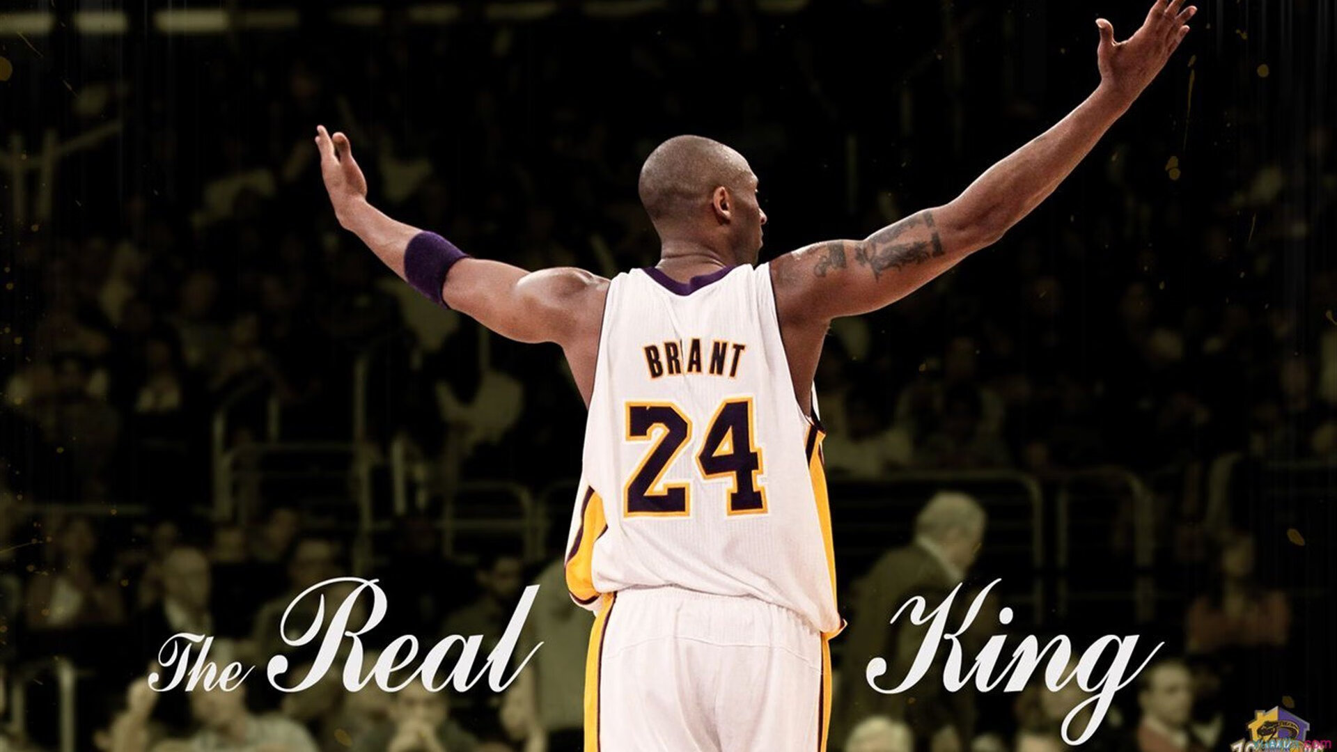 小人物掀翻巨无霸，当福克斯成为勇士之夜的幽灵猎人