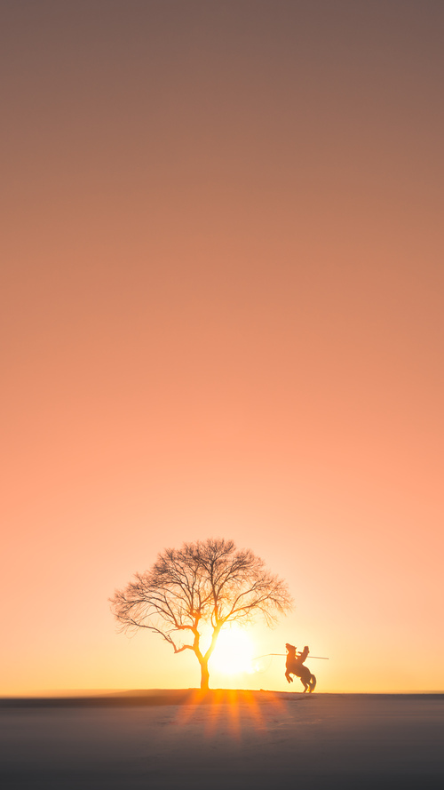 当马拉卡纳的欢呼响彻银石，一场跨越维度的体育奇迹