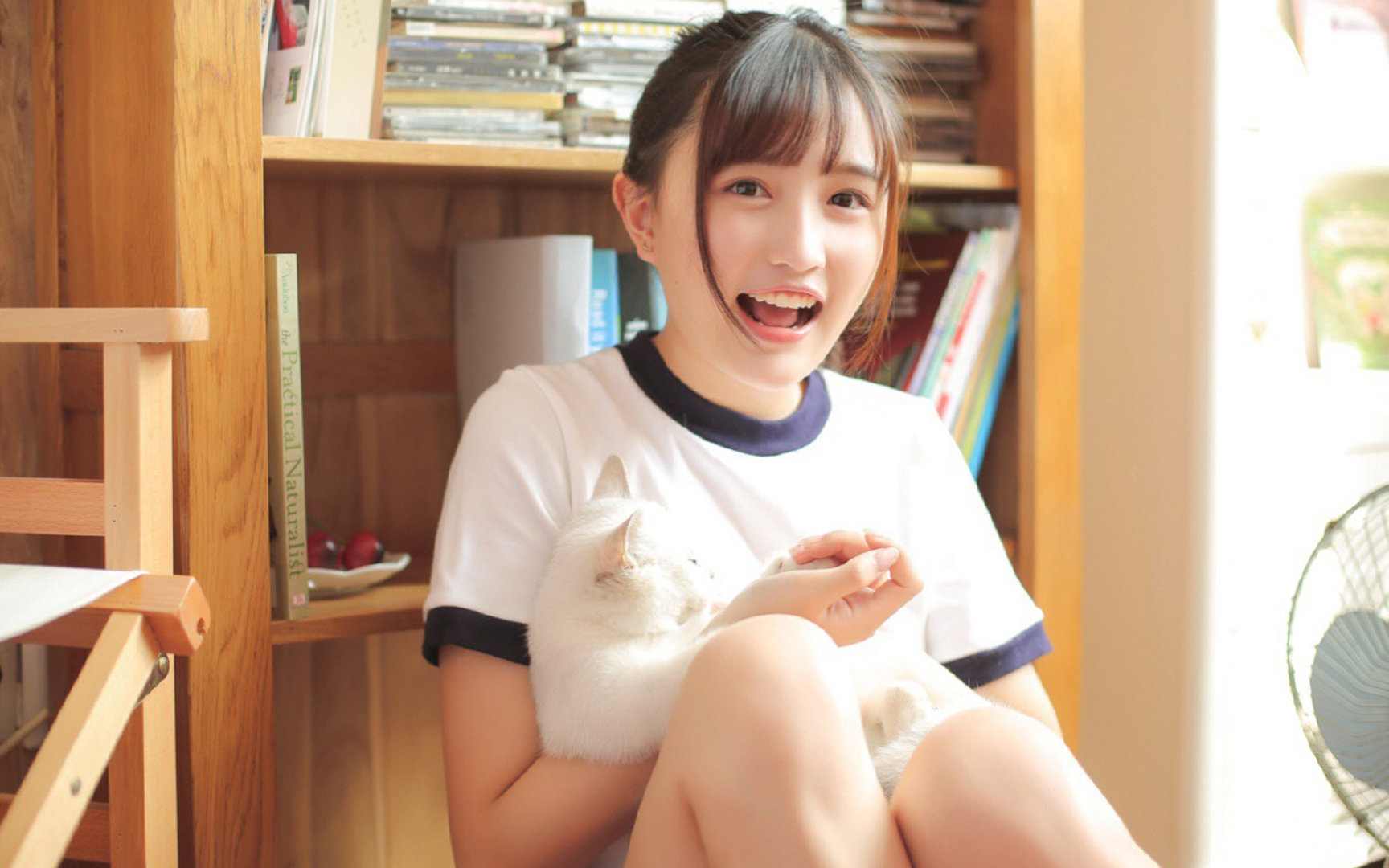 街道赛焦点战,委内瑞拉轻取墨西哥,F1赛场上的国家对决