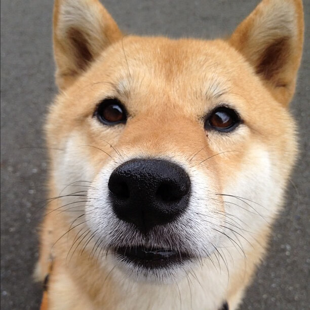 雷火电竞网址-从罪人到英雄，基米希的救赎之夜