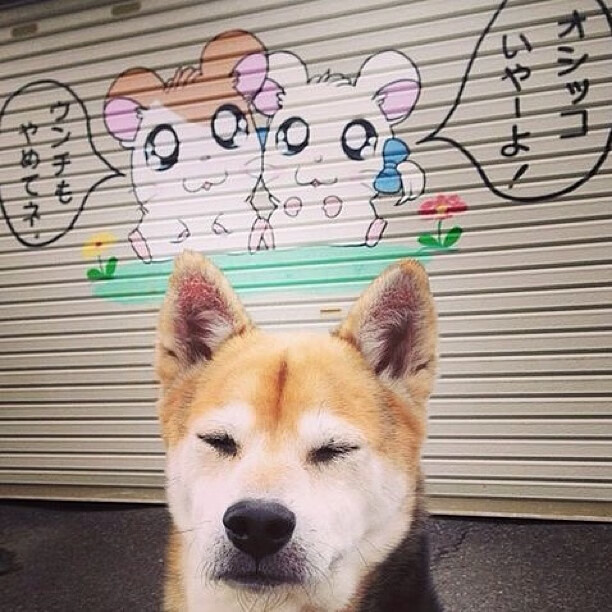 雷火电竞网址-拉梅洛的魔法棒疯狂舞动，马刺掀起青春风暴强势晋级，开拓者防线支离破碎