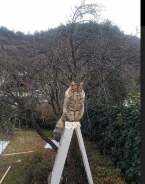 雷火电竞亚洲先驱-球场即战场，当阿坎吉在NBA巴黎式火力接管比赛