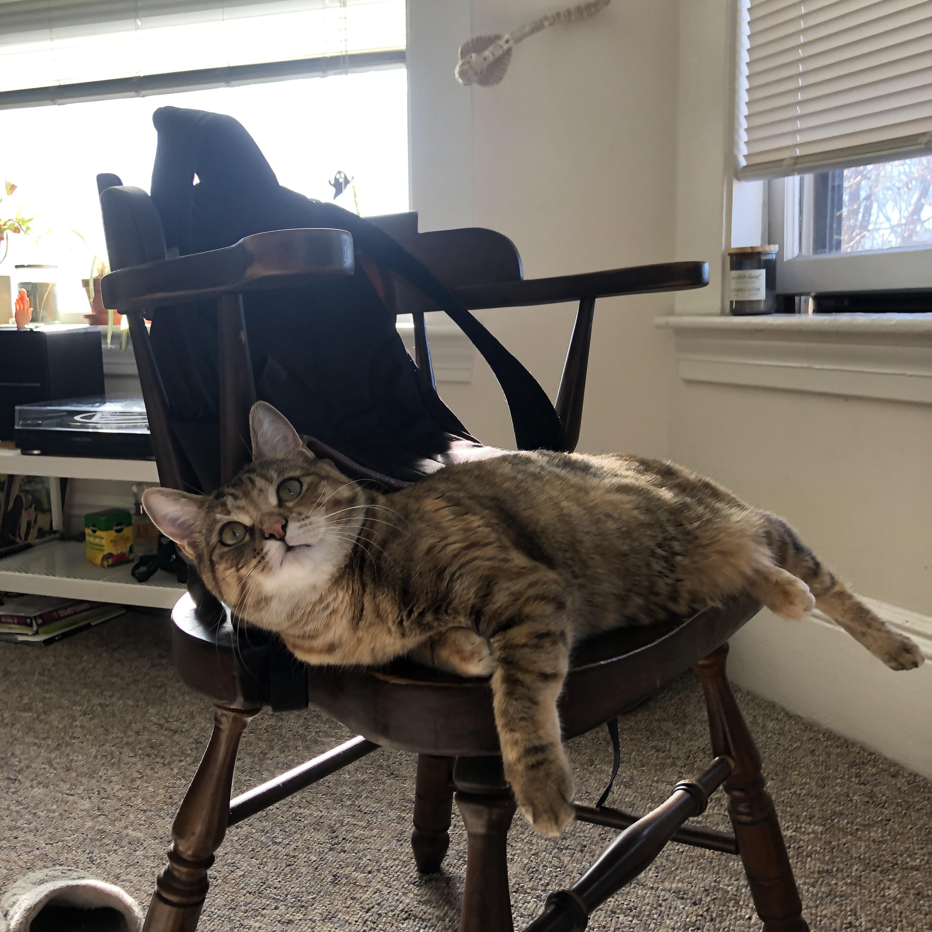 雷火电竞合作-终极审判夜，旧王与幽灵的对决，当鹈鹕衔走胜利，哈利伯顿加冕大场面先生