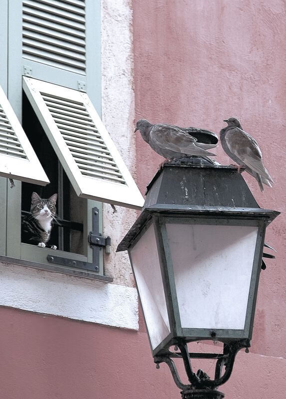 雷火电竞-时空交错的绿茵场，当尤文图斯跨越维度碾压加纳