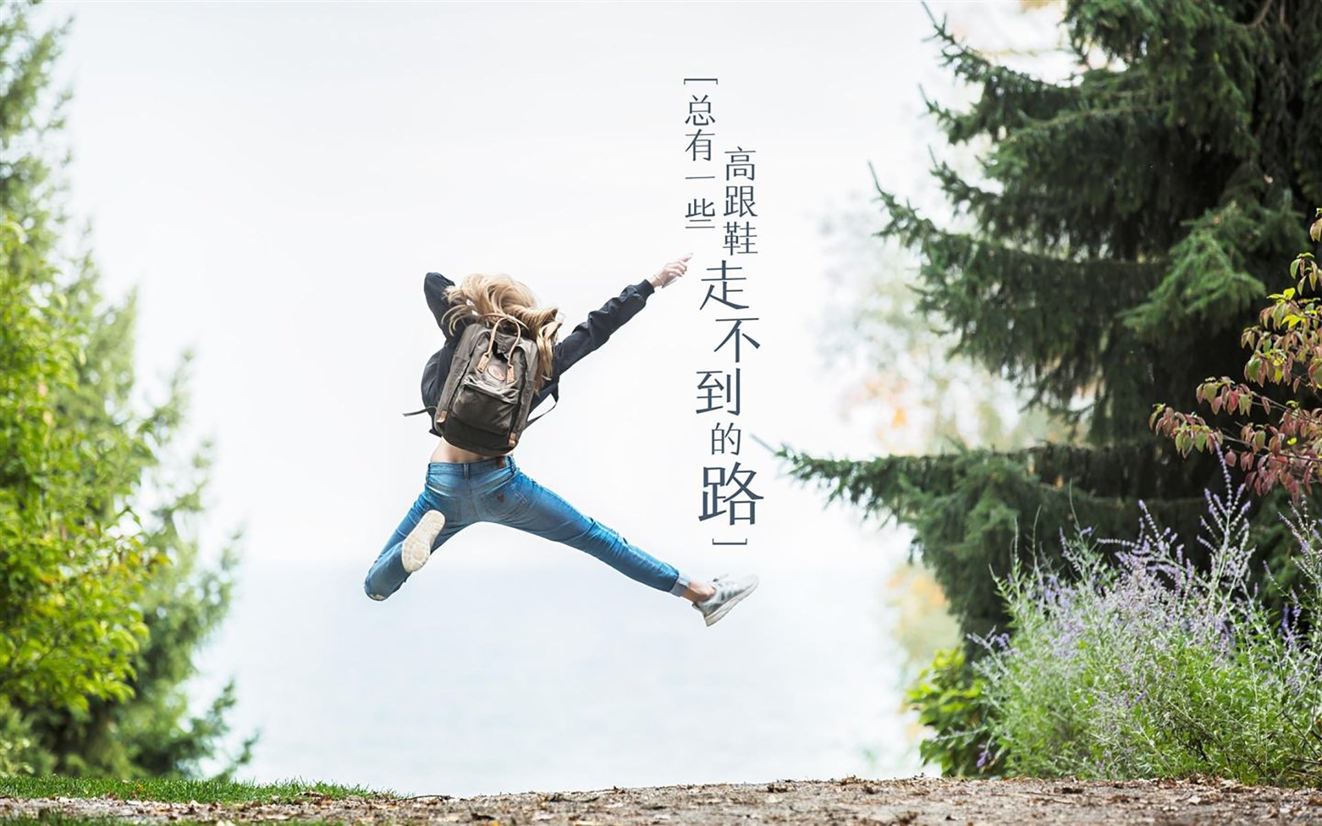 迷雾中的扳机,阿布扎比之夜,法比尼奥如何以非法之名,为F1争冠烙下永恒印记