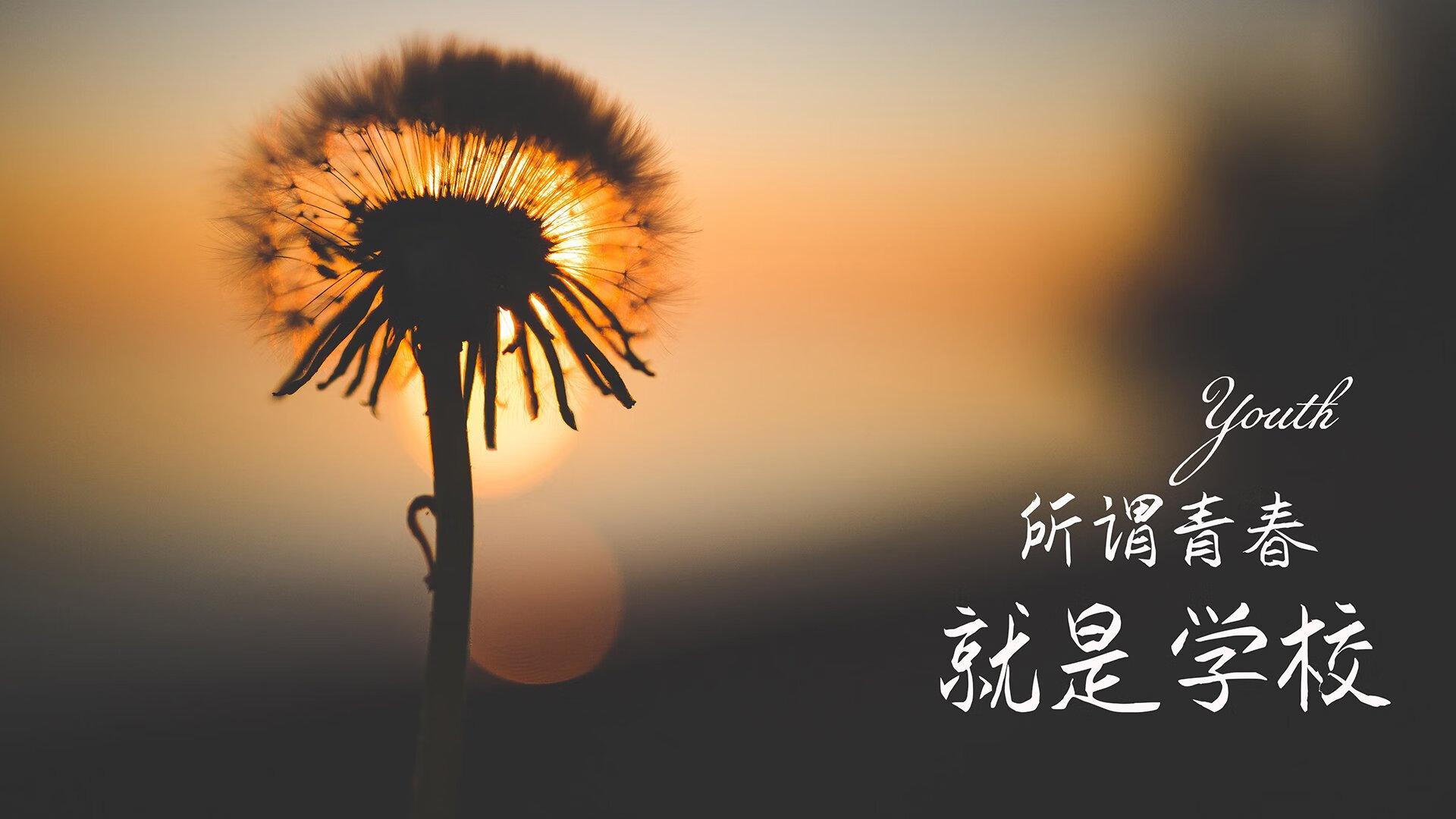 冰与火之歌,2026世界杯D组冰岛险胜哥斯达黎加,孙兴慜独舞照亮极北之夜