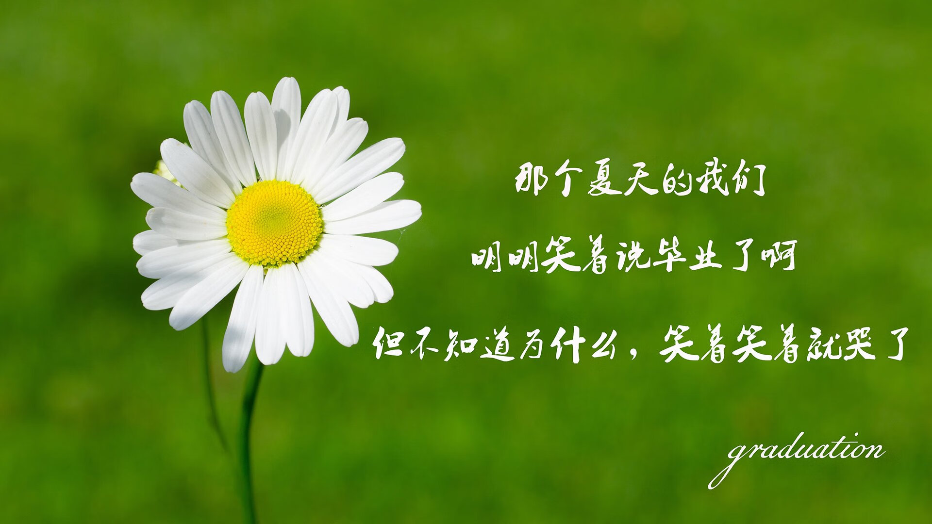 2026世界杯F组生死战，美国风暴横扫伊拉克，B费独舞点亮北美之夜