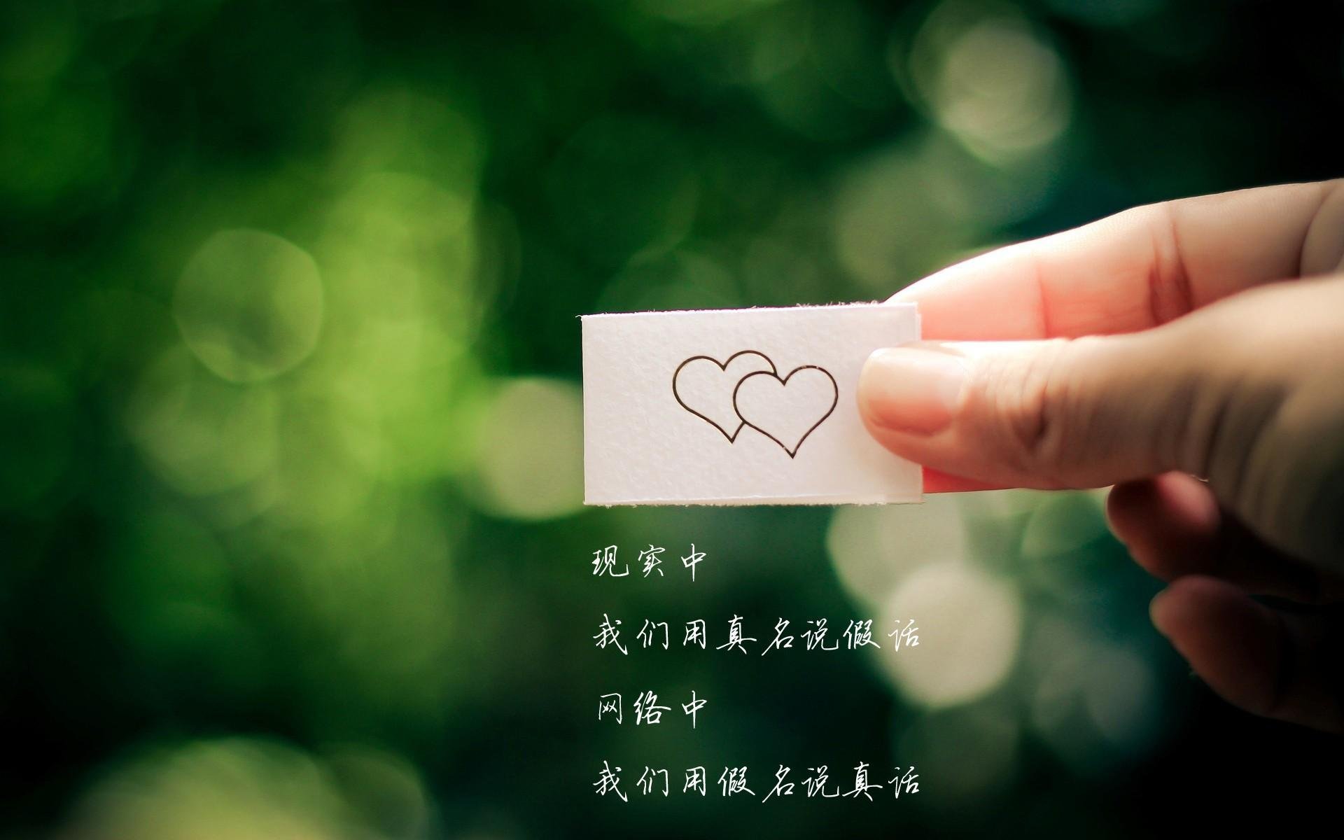 唯一之约,2026世界杯F组,当坎塞洛的弧线切开美利坚的防线