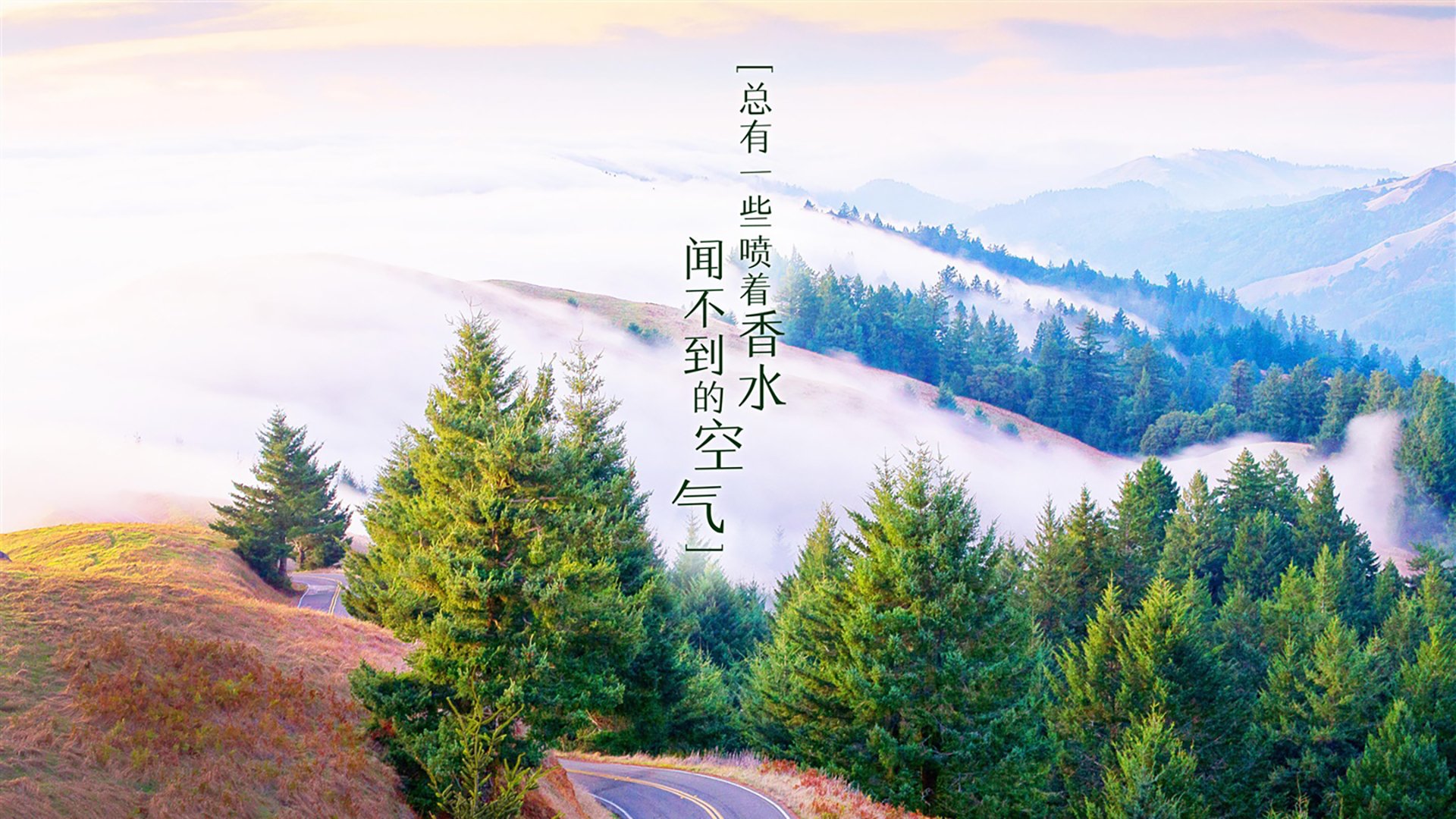 雷火电竞官网-孤星耀世，2026世界杯焦点战，克罗地亚凭什么让英格兰俯首称臣