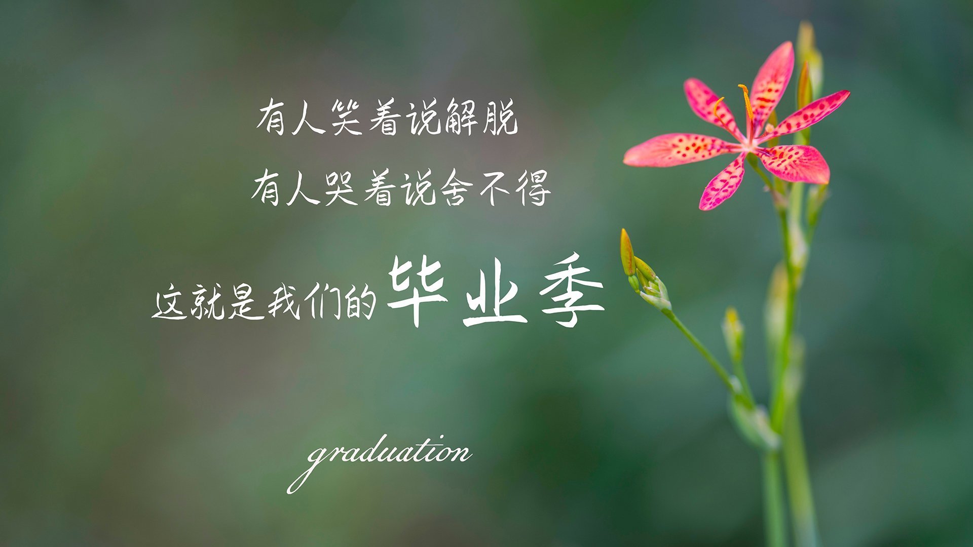 雷火电竞网址-钢铁防线与中场大师，阿联酋如何在美国队身上刻下2026世界杯D组唯一的烙印