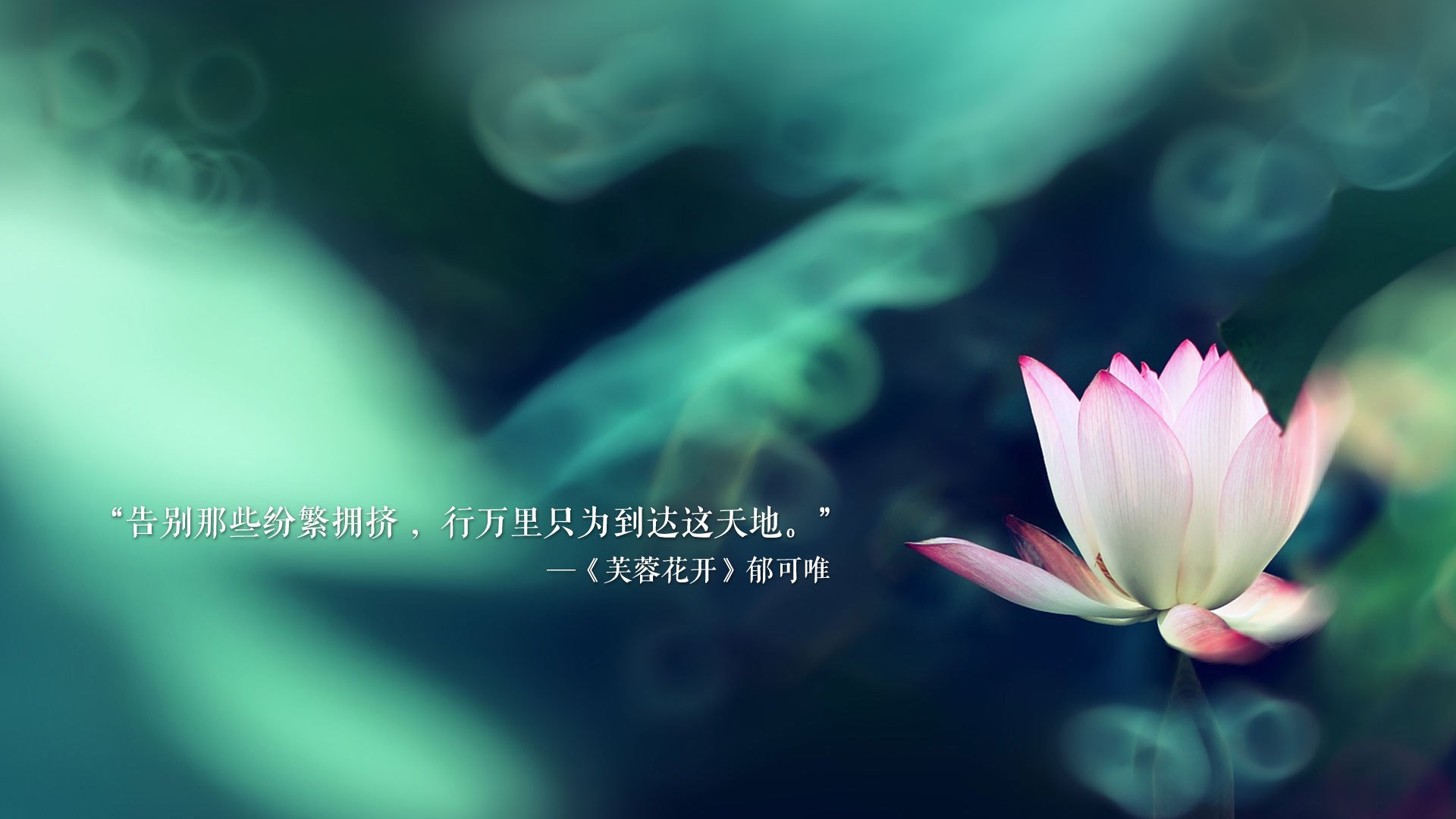 圣西罗的阴影与因斯布鲁克的闪电，当哈基米用速度撕裂北欧童话，2026世界杯D组藏着最残酷的唯一天命